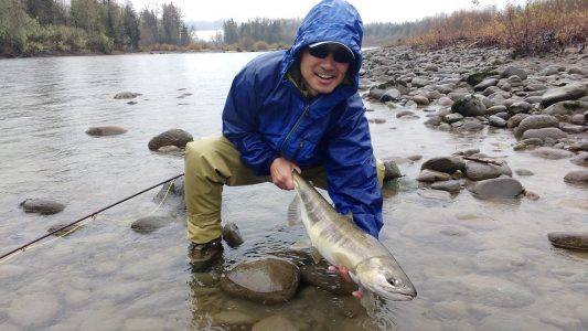 salmon fly fishing, chum salmon fly fishing, chum salmon fly fishing bc, guided salmon fly fishing, salmon fly fishing guides, salmon fly fishing vancouver, salmon fly fishing squamish, fly fishing bc, fly fishing