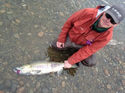 fraser river, fly fishing, salmon, guide