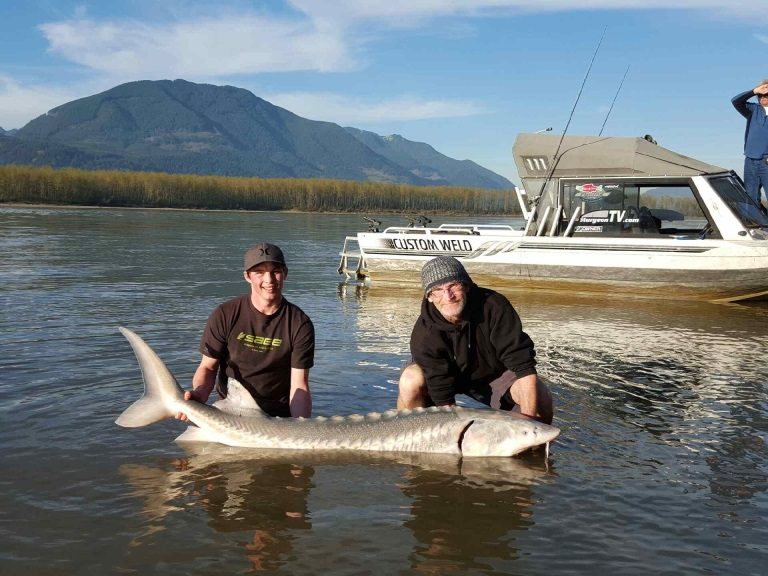 sturgeon, sturgeon report, sturgeon fishing, fraser river sturgeon fishing, fraser sturgeon, fraser river sturgeon