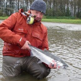 coho salmon, silver salmon, bc salmon, coho salmon flyfishing, coho salmon fishing, bc salmon fishing trips, coho salmon fishing fraser river, coho salmon fishing guides