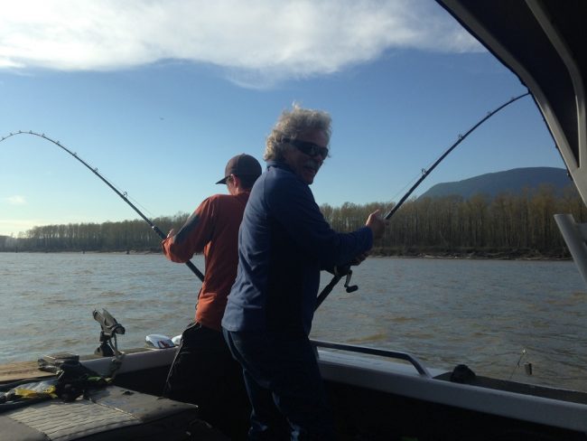 fathers day, sturgeon, sturgeon report, sturgeon fishing, fraser river sturgeon fishing, fraser sturgeon, fraser river sturgeon