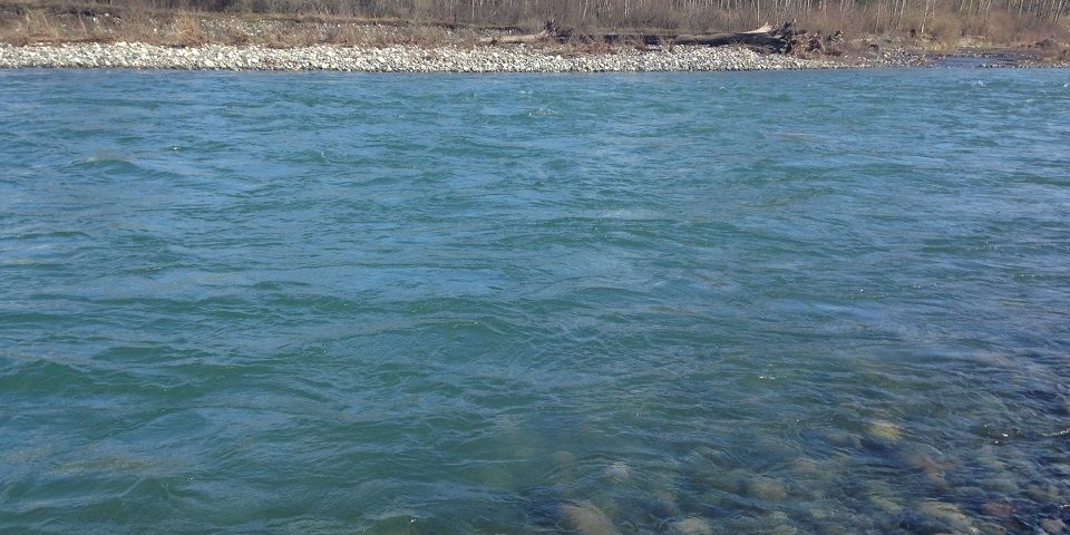 steelhead fishing, vedder steelhead fishing