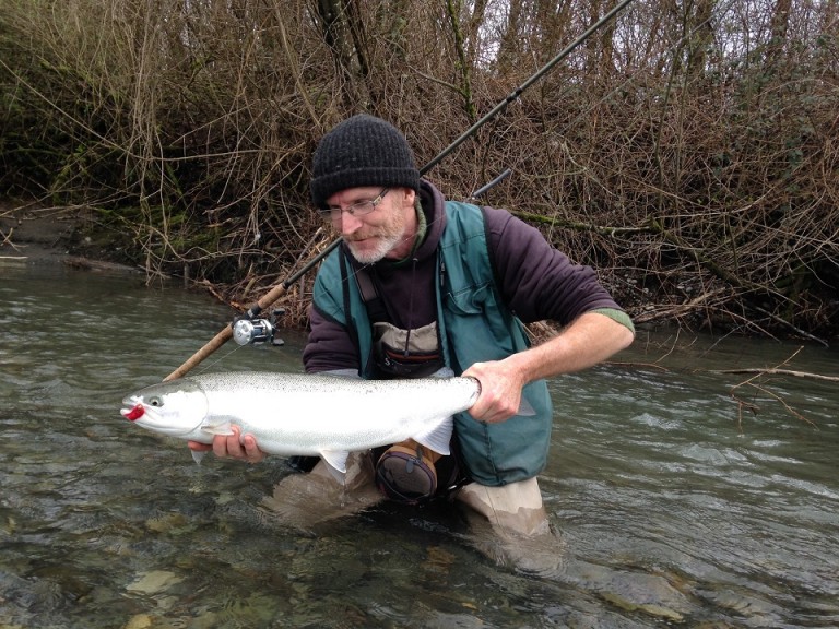 steelhead, bcsteelhead, vedder steelhead, vedder river steelhead, steelhead fishing, vedder river steelhead fishing, steelhead guide