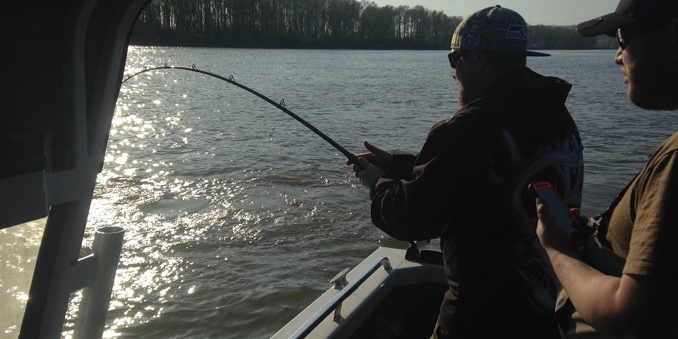 sturgeon, sturgeon report, sturgeon fishing, fraser river sturgeon fishing, fraser sturgeon, fraser river sturgeon