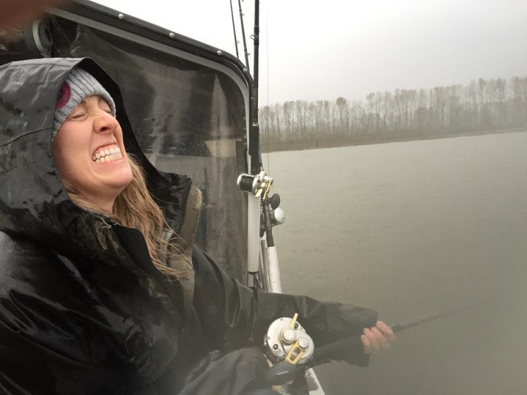 sturgeon report, sturgeon fishing report, sturgeon fishing, fraser river sturgeon fishing, fraser river sturgeon fishing report, fraser river sturgeon fishing guides, sturgeon, white sturgeon, sturgeon fishing bc, sturgeon fishing canada