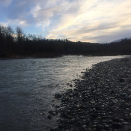 vedder river, steelhead fishing