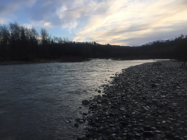 vedder river, steelhead fishing