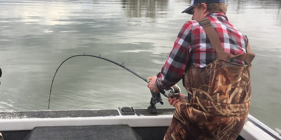 sturgeon-fishing-bc-IMG_2785 sturgeon fishing, fraser river sturgeon fishing, sturgeon fishing bc