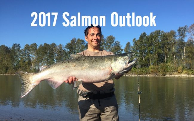 2017-salmon-outlook-bc-fraser-river 2017 salmon forecast fraser river, 2017 salmon forecast bc, 2017 salmon outlook, salmon forecast 2017