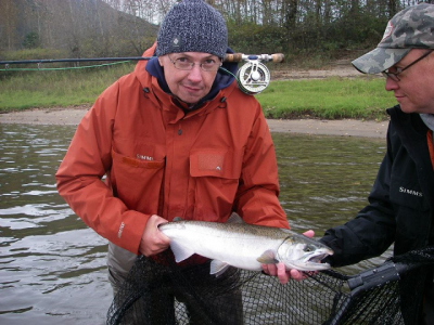 coho salmon, fly fishing, fly fishing guides, coho salmon fly fishing, fraser river fly fishing