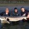 sturgeon, white sturgeon, sturgeon fishing, sturgeon fishing fraser river, sturgeon fishing charters fraser river, sturgeon fishing charters, sturgeon fishing chilliwack, sturgeon fishing mission, sturgeon fishing guides, sturgeon fishing canada, sturgeon guides, sturgeon charters, sturgeon fishing holidays