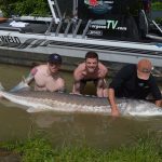 silversides fishing review, sturgeon fishing bc, fraser river sturgeon fishing