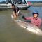 sturgeon, white sturgeon, sturgeon fishing, sturgeon fishing fraser river, sturgeon fishing charters fraser river, sturgeon fishing charters, sturgeon fishing chilliwack, sturgeon fishing mission, sturgeon fishing guides, sturgeon fishing canada, sturgeon guides, sturgeon charters, sturgeon fishing holidays