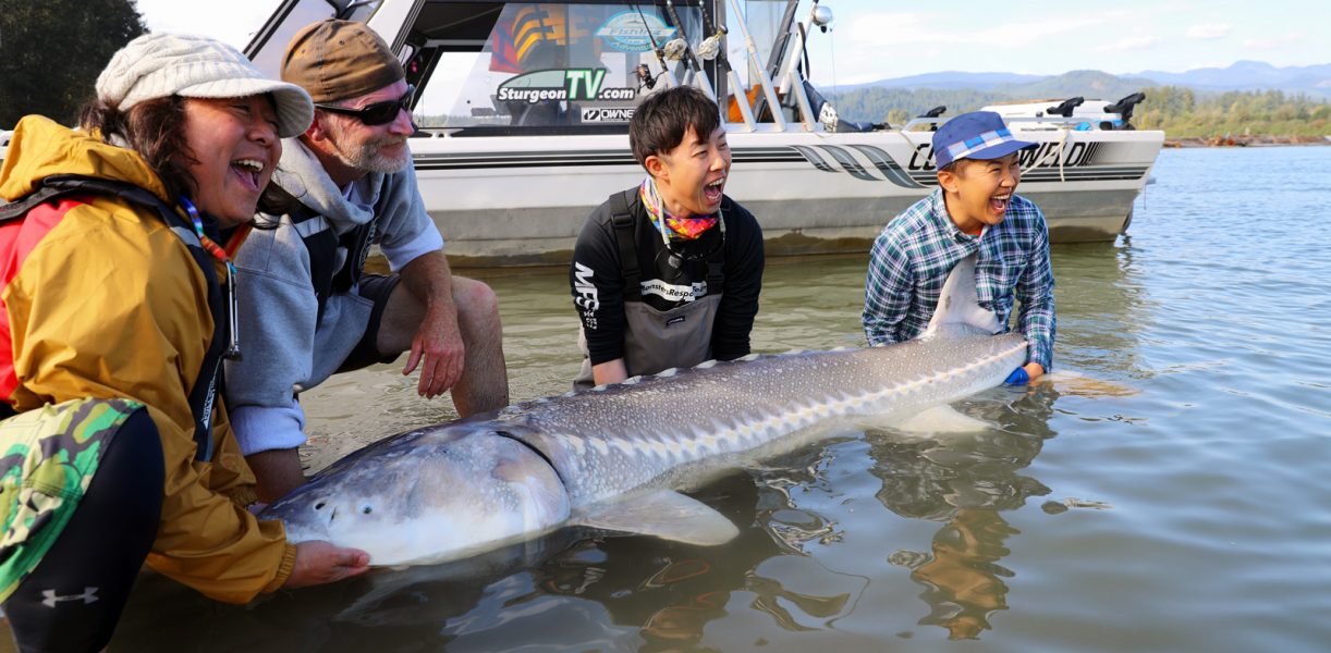 Bc Sturgeon Fishing Charters And Holiday Packages Fraser River Canada