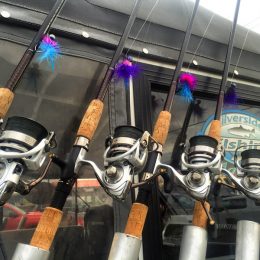 salmon fishing charters, salmon fishing guides