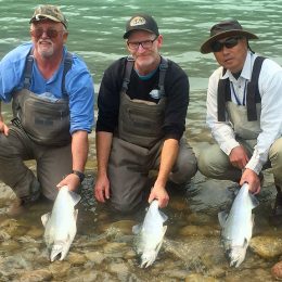 salmon fly fishing, fly fishing, fly fishing guides, coho salmon, fraser river fly fishing, fraser river bc fly fishing, fraser valley fly fishing, salmon fly fishing guides, vancouver fly fishing guides, bc fly fishing, fly fishing tours, fly fishing trips