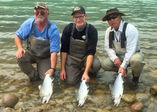 salmon fly fishing, fly fishing, fly fishing guides, coho salmon, fraser river fly fishing, fraser river bc fly fishing, fraser valley fly fishing, salmon fly fishing guides, vancouver fly fishing guides, bc fly fishing, fly fishing tours, fly fishing trips