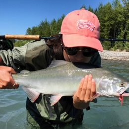 salmon fly fishing, fly fishing, fly fishing guides, coho salmon, fraser river fly fishing, fraser river bc fly fishing, fraser valley fly fishing, salmon fly fishing guides, vancouver fly fishing guides, bc fly fishing, fly fishing tours, fly fishing trips