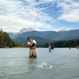 pink salmon, pink salmon fly fishing, fly fishing, fly fishing guides, vancouver fly fishing, salmon fly fishing, vancouver fly fishing guides, bc fly fishing, fly fishing tours, fly fishing trips