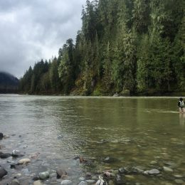trout fly fishing, fly fishing, fly fishing guides, vancouver fly fishing, vancouver fly fishing guides, bull trout fly fishing, bc fly fishing, fly fishing trips, fly fishing tours
