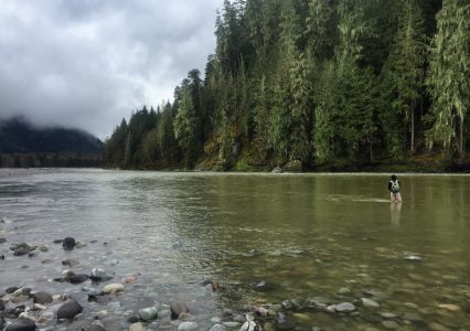 trout fly fishing, fly fishing, fly fishing guides, vancouver fly fishing, vancouver fly fishing guides, bull trout fly fishing, bc fly fishing, fly fishing trips, fly fishing tours