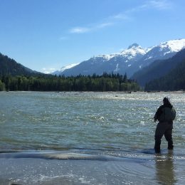 trout fly fishing, fly fishing, fly fishing guides, vancouver fly fishing, vancouver fly fishing guides, bull trout fly fishing, bc fly fishing, fly fishing trips, fly fishing tours
