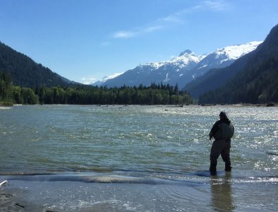 trout fly fishing, fly fishing, fly fishing guides, vancouver fly fishing, vancouver fly fishing guides, bull trout fly fishing, bc fly fishing, fly fishing trips, fly fishing tours