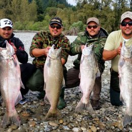 fraser river salmon fishing, king salmon, chinook salmon, fraser river salmon fishing guides