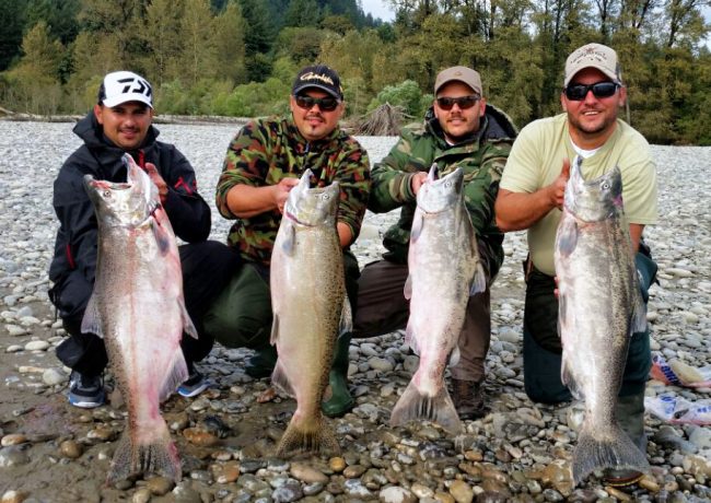 fraser river salmon fishing, king salmon, chinook salmon, fraser river salmon fishing guides