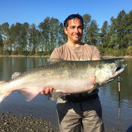 fraser river salmon fishing, king salmon, chinook salmon, fraser river salmon fishing guides