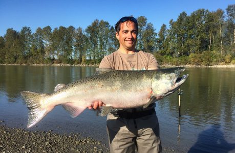 fraser river salmon fishing, king salmon, chinook salmon, fraser river salmon fishing guides