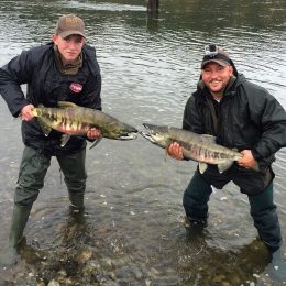 salmon fishing bc, bc salmon fishing, salmon, salmon fishing trips, salmon fishing bc, salmon fishing canada, salmon fishing fraser river, salmon fishing chilliwack, salmon fishing, river fishing