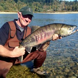 chum salmon fishing, salmon fishing bc, bc salmon fishing, salmon, salmon fishing trips, salmon fishing bc, salmon fishing canada, salmon fishing fraser river, salmon fishing chilliwack, salmon fishing, river fishing