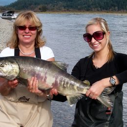 harrison river, chum salmon fishing, salmon fishing bc, bc salmon fishing, salmon, salmon fishing trips, salmon fishing bc, salmon fishing canada, salmon fishing fraser river, salmon fishing chilliwack, salmon fishing, river fishing
