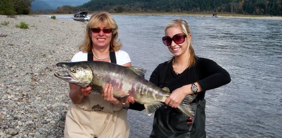 harrison river, chum salmon fishing, salmon fishing bc, bc salmon fishing, salmon, salmon fishing trips, salmon fishing bc, salmon fishing canada, salmon fishing fraser river, salmon fishing chilliwack, salmon fishing, river fishing