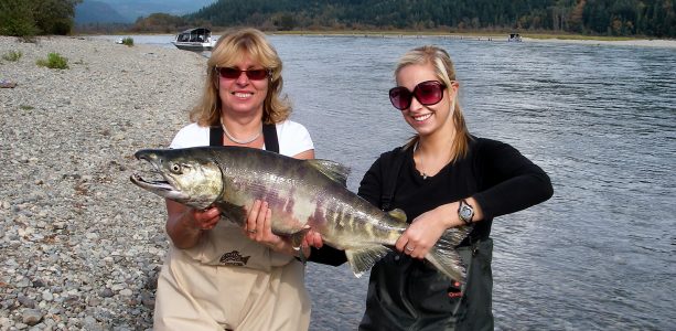 harrison river, chum salmon fishing, salmon fishing bc, bc salmon fishing, salmon, salmon fishing trips, salmon fishing bc, salmon fishing canada, salmon fishing fraser river, salmon fishing chilliwack, salmon fishing, river fishing