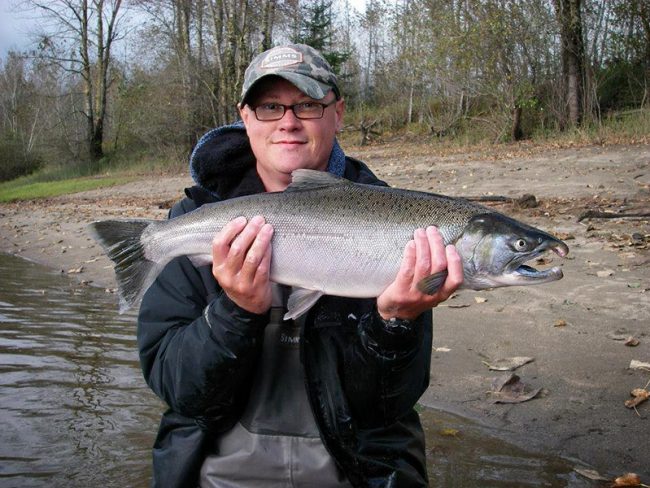 coho-salmon-fishing coho salmon, coho salmon fly fishing, fly fishing, salmon fly fishing, fly fishing guides, coho salmon fishing, fraser river coho salmon