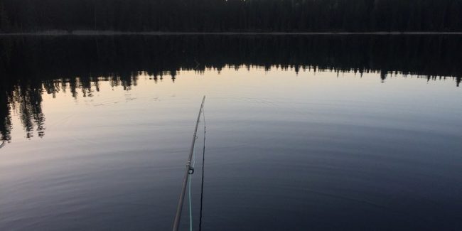 trout fly fishing, fly fishing, fly fishing guides, vancouver fly fishing, vancouver fly fishing guides, rainbow trout fly fishing, bc fly fishing, fly fishing trips, fly fishing tours