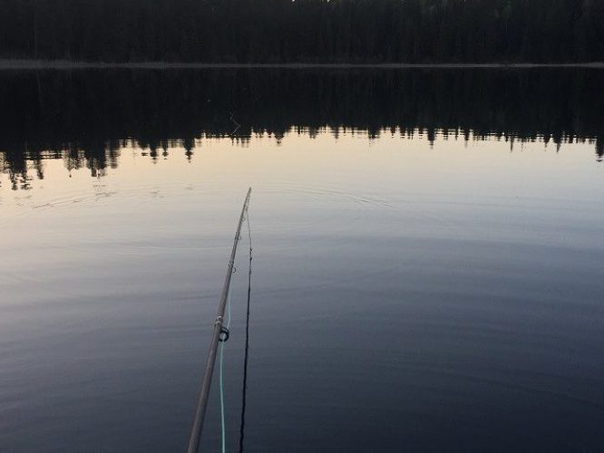 trout fly fishing, fly fishing, fly fishing guides, vancouver fly fishing, vancouver fly fishing guides, rainbow trout fly fishing, bc fly fishing, fly fishing trips, fly fishing tours