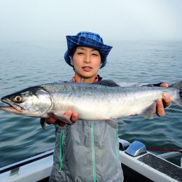 salmon charters, salmon fishing bc, bc salmon fishing, salmon, salmon fishing trips, salmon fishing bc, salmon fishing canada, salmon fishing fraser river, salmon fishing chilliwack, salmon fishing, river fishing