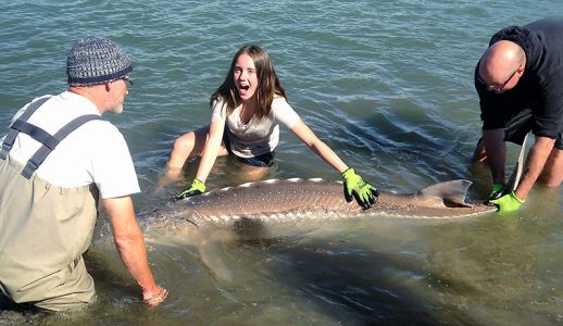 fraser river fishing, fraser river fishing guides, fraser river fishing trips, fraser river sturgeon fishing, fraser river fishing charters, fraser river fishing tours, fraser river fishing bc, fraser river guides, fraser river charters, fraser river fishing chilliwack, fraser river fishing charters vancouver