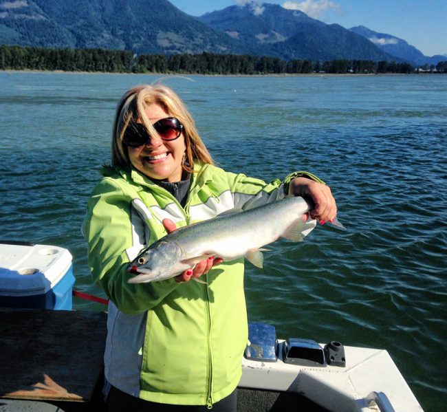 salmon charters, salmon fishing bc, bc salmon fishing, salmon, salmon fishing trips, salmon fishing bc, salmon fishing canada, salmon fishing fraser river, salmon fishing chilliwack, salmon fishing, river fishing