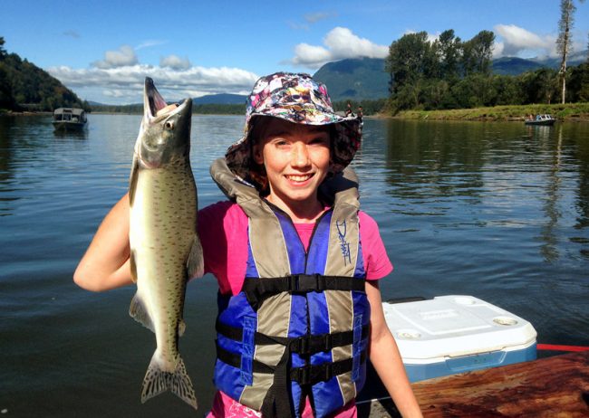 salmon charters, salmon fishing bc, bc salmon fishing, salmon, salmon fishing trips, salmon fishing bc, salmon fishing canada, salmon fishing fraser river, salmon fishing chilliwack, salmon fishing, river fishing