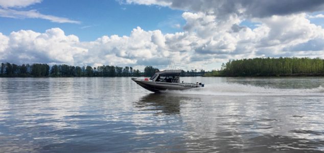 sturgeon, white sturgeon, sturgeon fishing, sturgeon fishing fraser river, sturgeon fishing charters fraser river, sturgeon fishing charters, sturgeon fishing chilliwack, sturgeon fishing mission, sturgeon fishing guides, sturgeon fishing canada, sturgeon guides, sturgeon charters, sturgeon fishing holidays