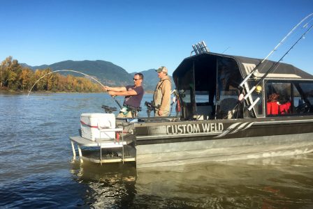 sturgeon, white sturgeon, sturgeon fishing, sturgeon fishing fraser river, sturgeon fishing charters fraser river, sturgeon fishing charters, sturgeon fishing chilliwack, sturgeon fishing mission, sturgeon fishing guides, sturgeon fishing canada, sturgeon guides, sturgeon charters, sturgeon fishing holidays