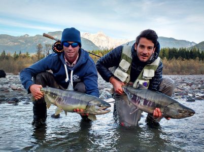 salmon fishing bc, bc salmon fishing, chum salmon, salmon fishing trips, salmon fishing bc, salmon fishing canada, salmon fishing fraser river, salmon fishing chilliwack, salmon fly fishing,