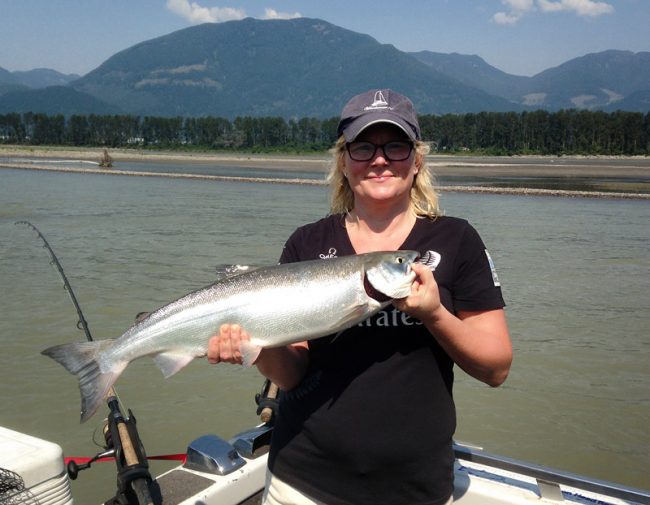 sockeye, sockeye salmon fishing, fraser river sockeye, sockeye salmon charters, salmon fishing charters, sockeye charters, sockeye salmon fishing charters, sockeye salmon fishing chilliwack, sockeye salmon fishing fraser river