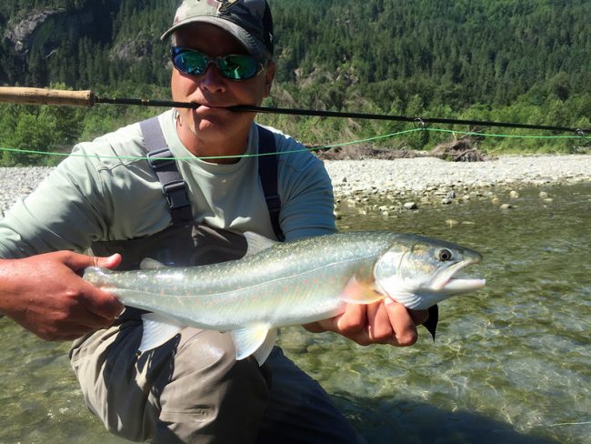 trout fly fishing, fly fishing, fly fishing guides, pitt river fly fishing, vancouver fly fishing, trout fishing vancouver, vancouver fly fishing guides, bull trout fly fishing, bc fly fishing, fly fishing trips, fly fishing tours