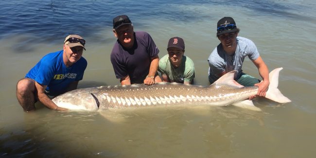 big-sturgeon-family-charter sturgeon, white sturgeon, sturgeon fishing, sturgeon fishing guides, sturgeon fishing charters, sturgeon fishing tours, sturgeon fishing fraser river, sturgeon fishing mission, sturgeon fishing chilliwack, sturgeon fishing bc, sturgeon fishing canada, fraser river sturgeon fishing charters, fraser river sturgeon, white sturgeon fishing, fraser river sturgeon fishing guides, sturgeon fishing holidays