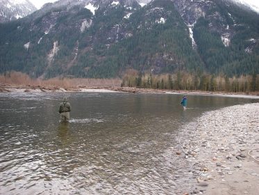 fly fishing bc,fly fishing vancouver, fly fishing trips bc, guided fly fishing